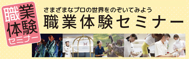 職業体験セミナー