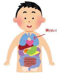 「燥」に弱い臓器・・・肺!!!