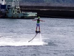 今はやりのアレですね。アレ!